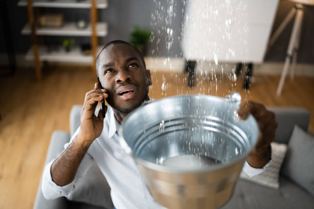 Best Professional water damage repair  in Lower Burrell, PA