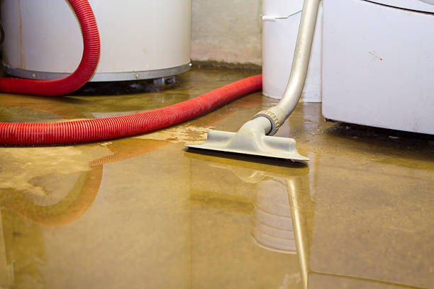 Best Water damage restoration near me  in Lower Burrell, PA